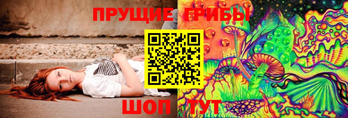 Псилоцибиновые грибы GOLDEN TEACHER  Вход с VPN  Спасск-Дальний 